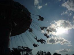 swings